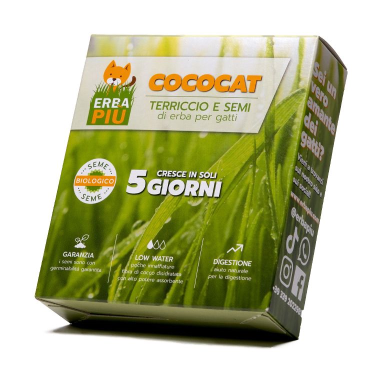 erba per gatti kit